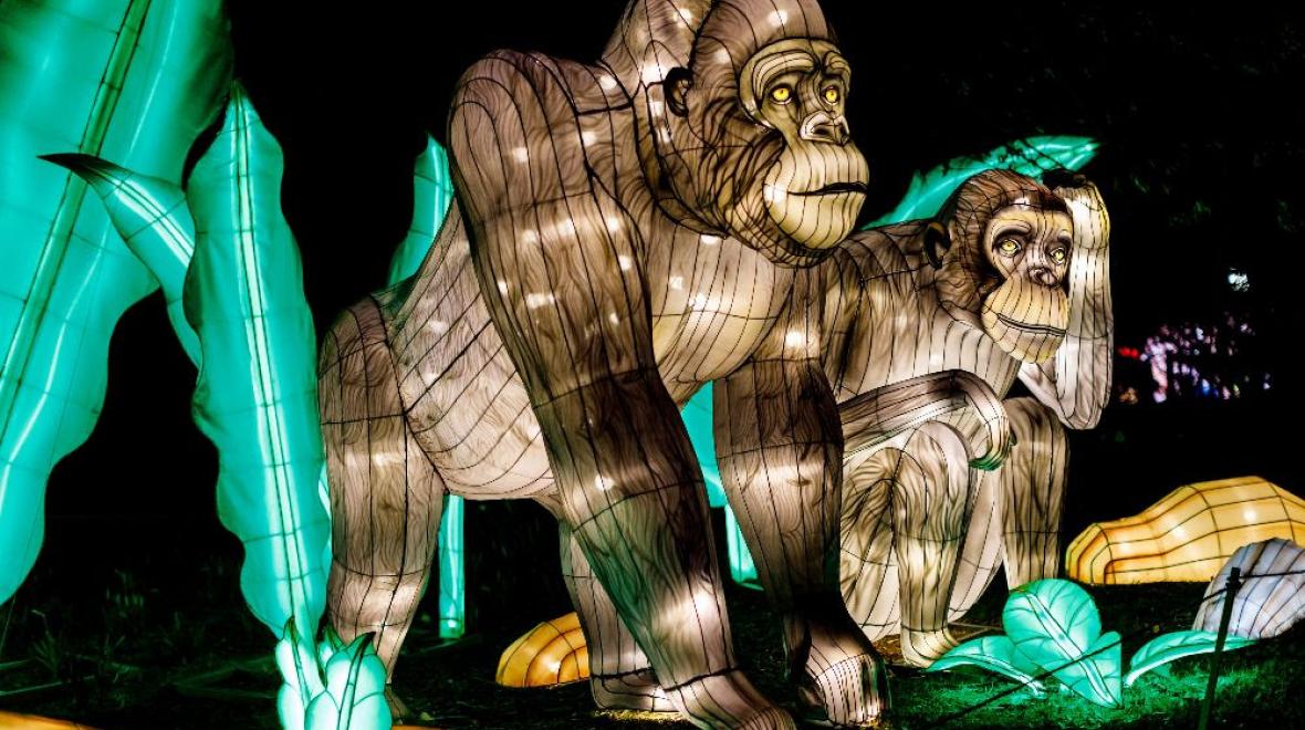 Woodland Park Zoo's New Holiday Lantern Lights Festival ParentMap